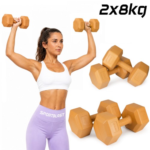 Hantelki_2x8kg.jpg